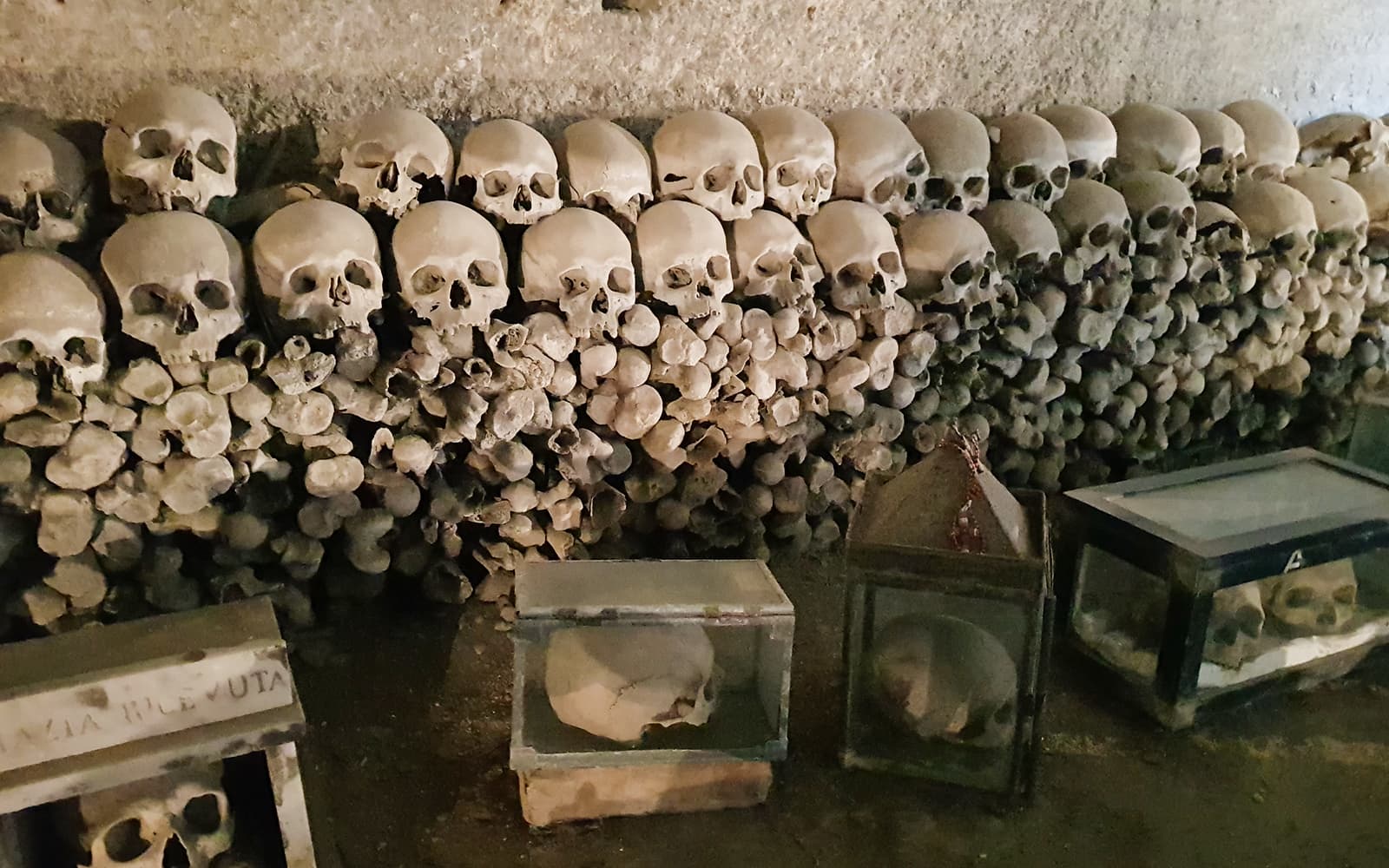 Walking Tour of Rione Sanità and Fontanelle Cemetery tickets in Naples - Highlights | TickYourList