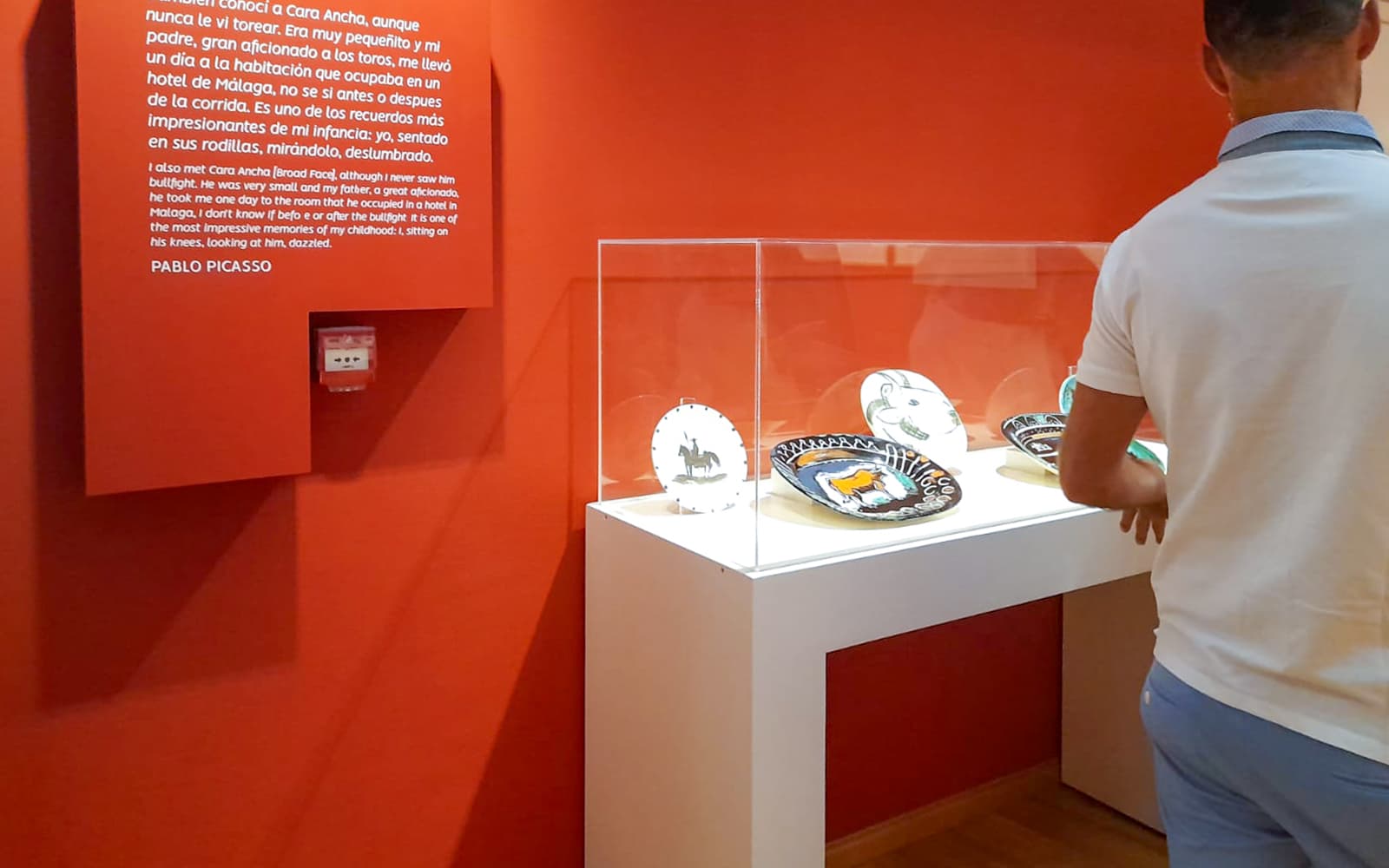 Combo: Picasso Museum Malaga + Picasso's Birthplace Museum Tickets in Malaga - Features | TickYourList