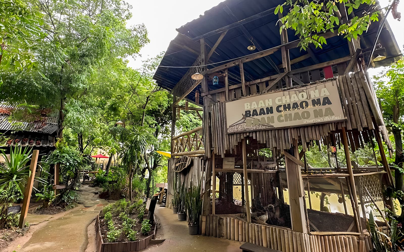 Mae Ping River Cruise with Optional Lunch tickets in Chiang Mai - Attractions | TickYourList