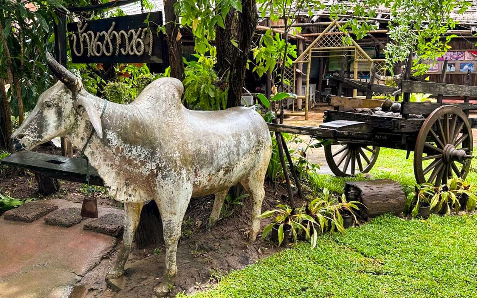 Mae Ping River Cruise with Optional Lunch tickets in Chiang Mai - Highlights | TickYourList