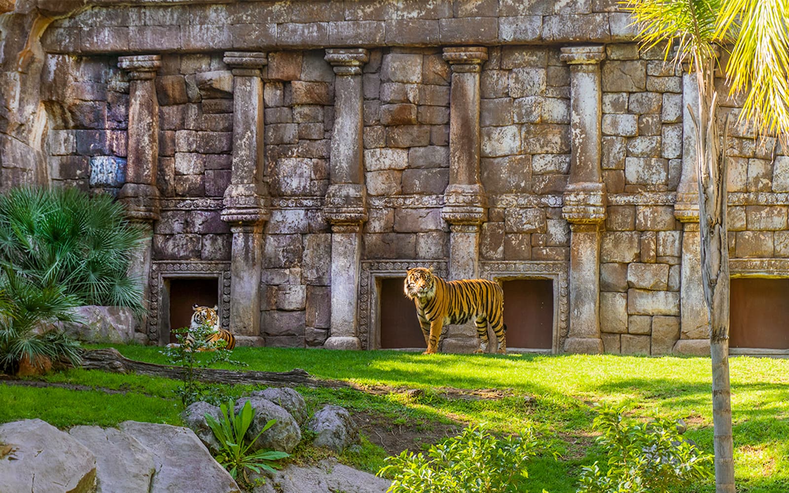 Bioparc Fuengirola Tickets in Malaga - Attractions | TickYourList