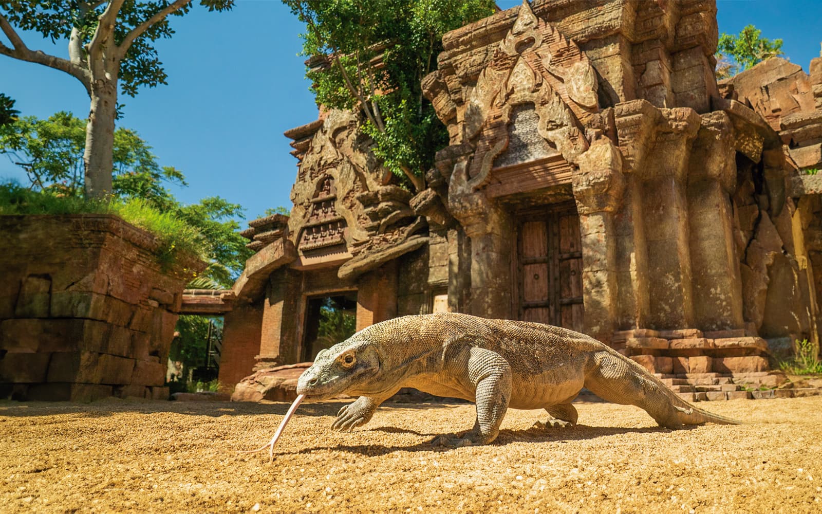 Bioparc Fuengirola Tickets in Malaga - Highlights | TickYourList