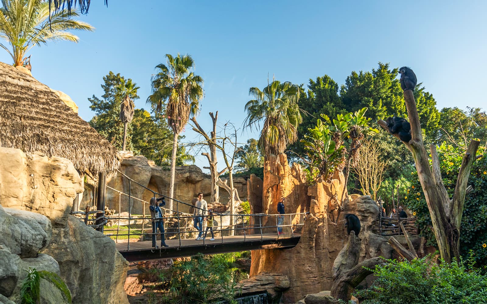 Bioparc Fuengirola Tickets in Malaga - Features | TickYourList