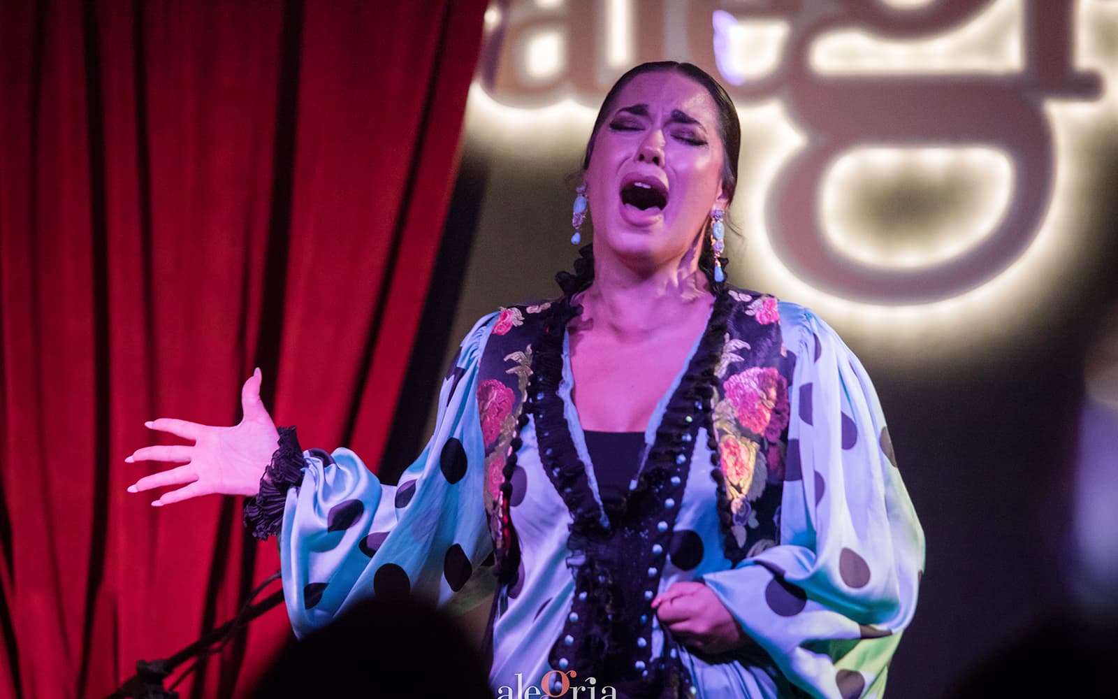 Alegría - Flamenco Show tickets in Malaga - Attractions | TickYourList