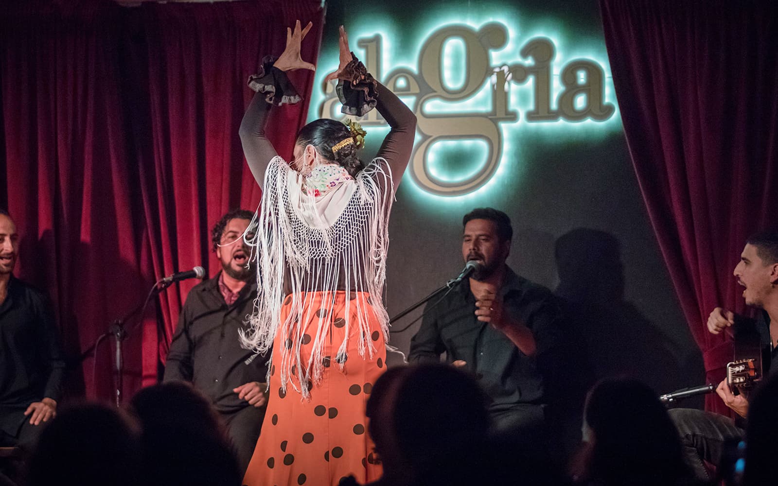 Alegría - Flamenco Show tickets in Malaga - Highlights | TickYourList