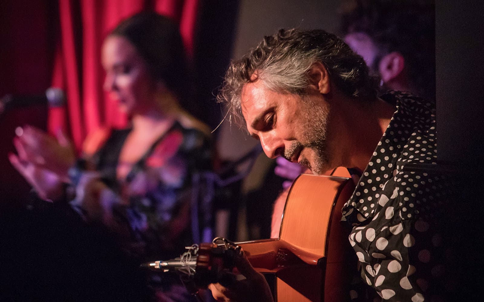 Alegría - Flamenco Show tickets in Malaga - Features | TickYourList