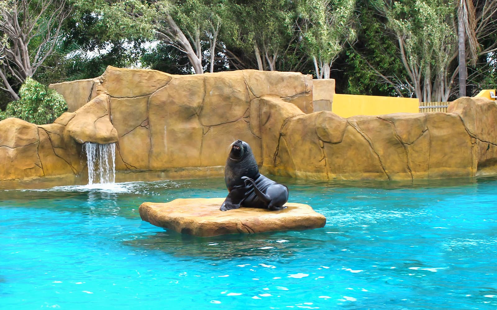 Combo: Selwo Marina with Benalmádena Cable Car tickets in Malaga - Discover | TickYourList