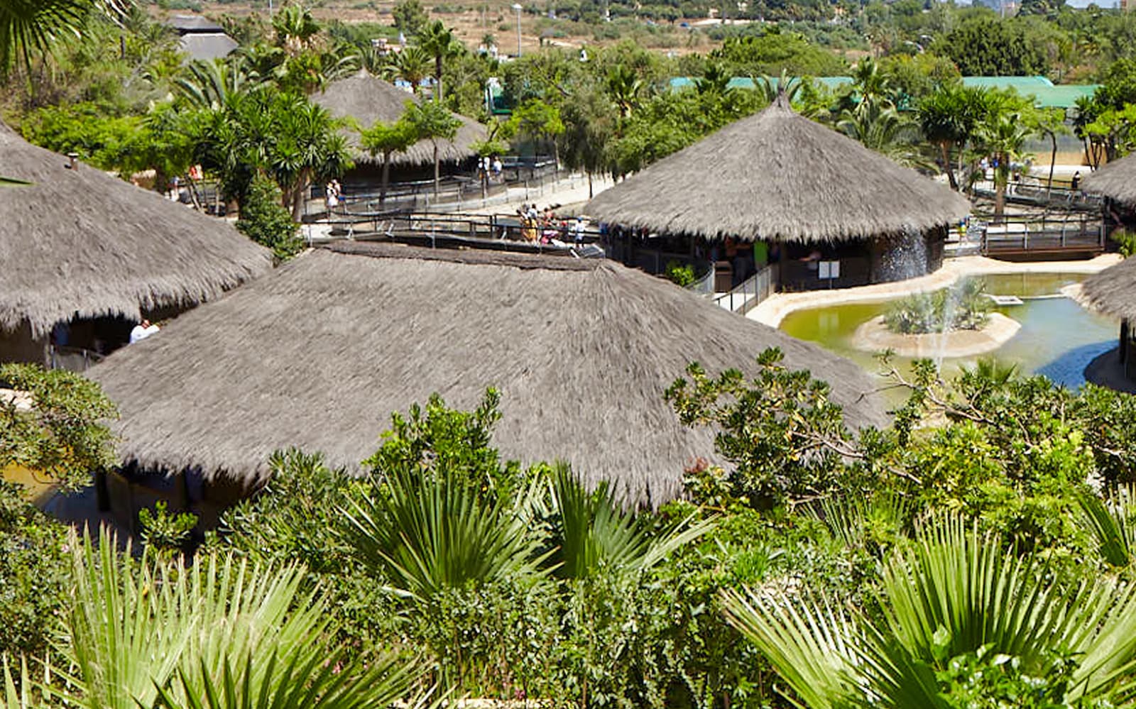 Skip-the-Line Tickets to Crocodile Park in Malaga - Explore More | TickYourList