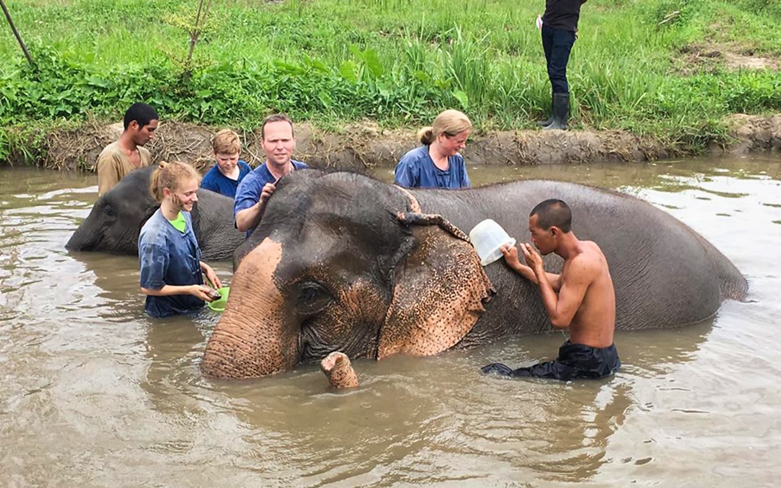 Lanna Kingdom Elephant Sanctuary Tour with RoundTrip Transfers