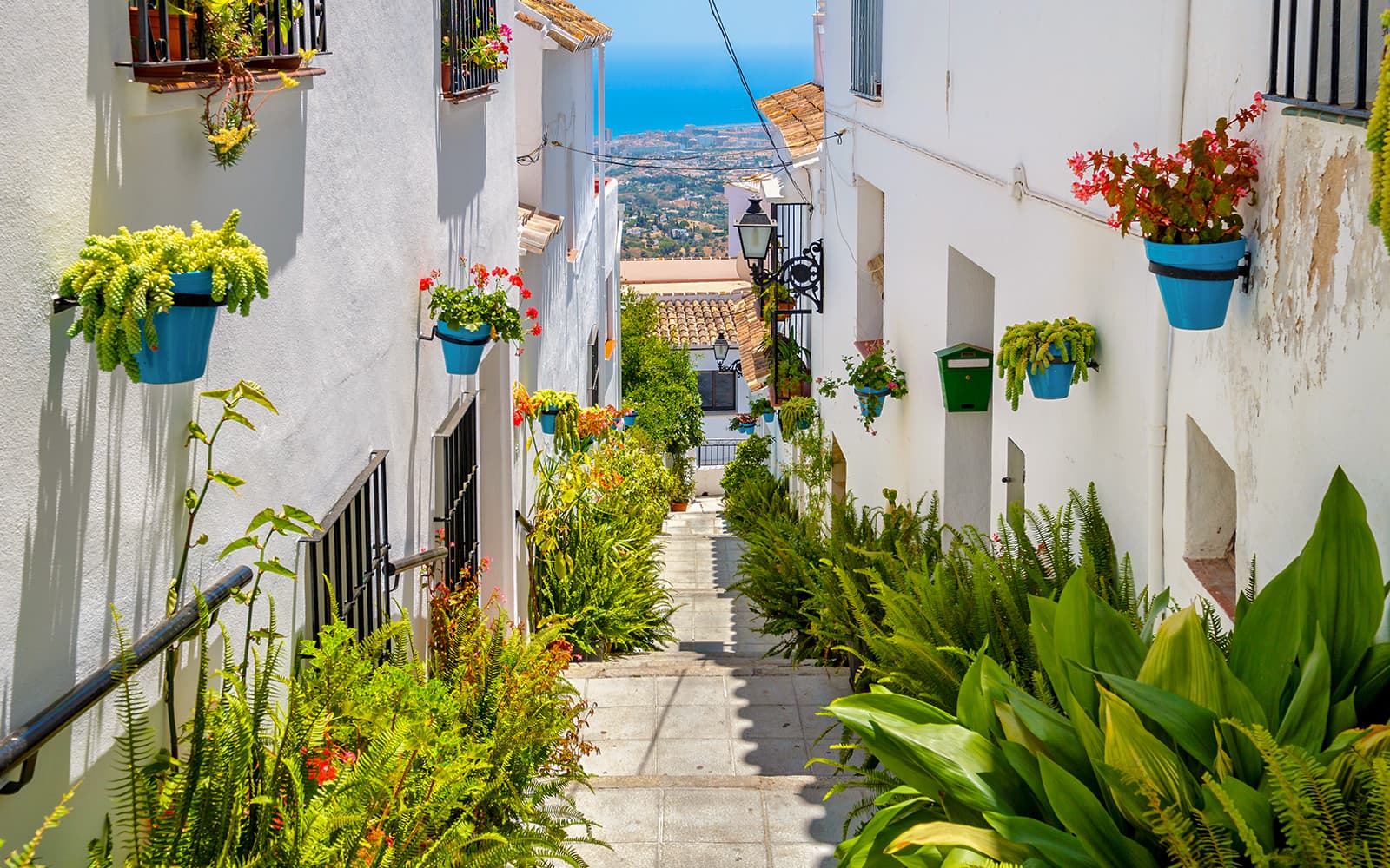 Mijas, Marbella & Puerto Banús Guided Tour from Málaga tickets in Malaga - Attractions | TickYourList