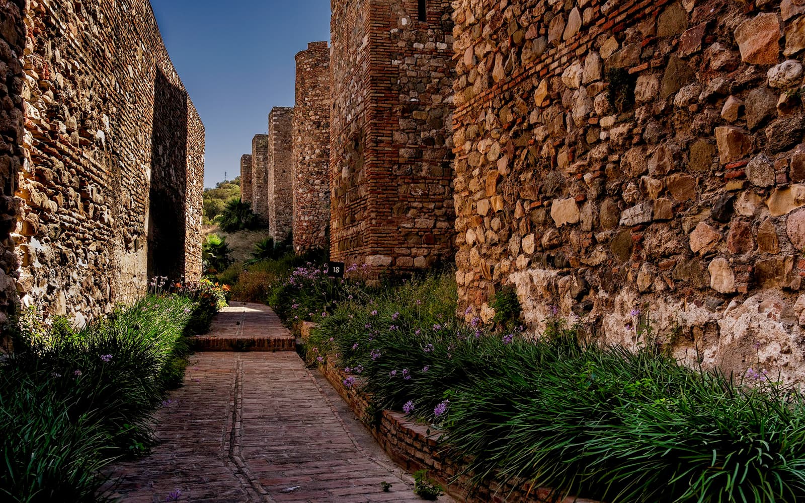 Málaga Walking Tour with Skip-the-Line Tickets in Malaga - Activities | TickYourList