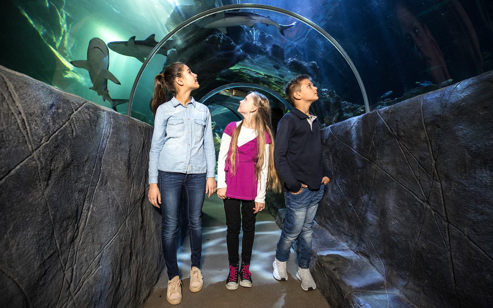 SEA LIFE Munich Ticket
