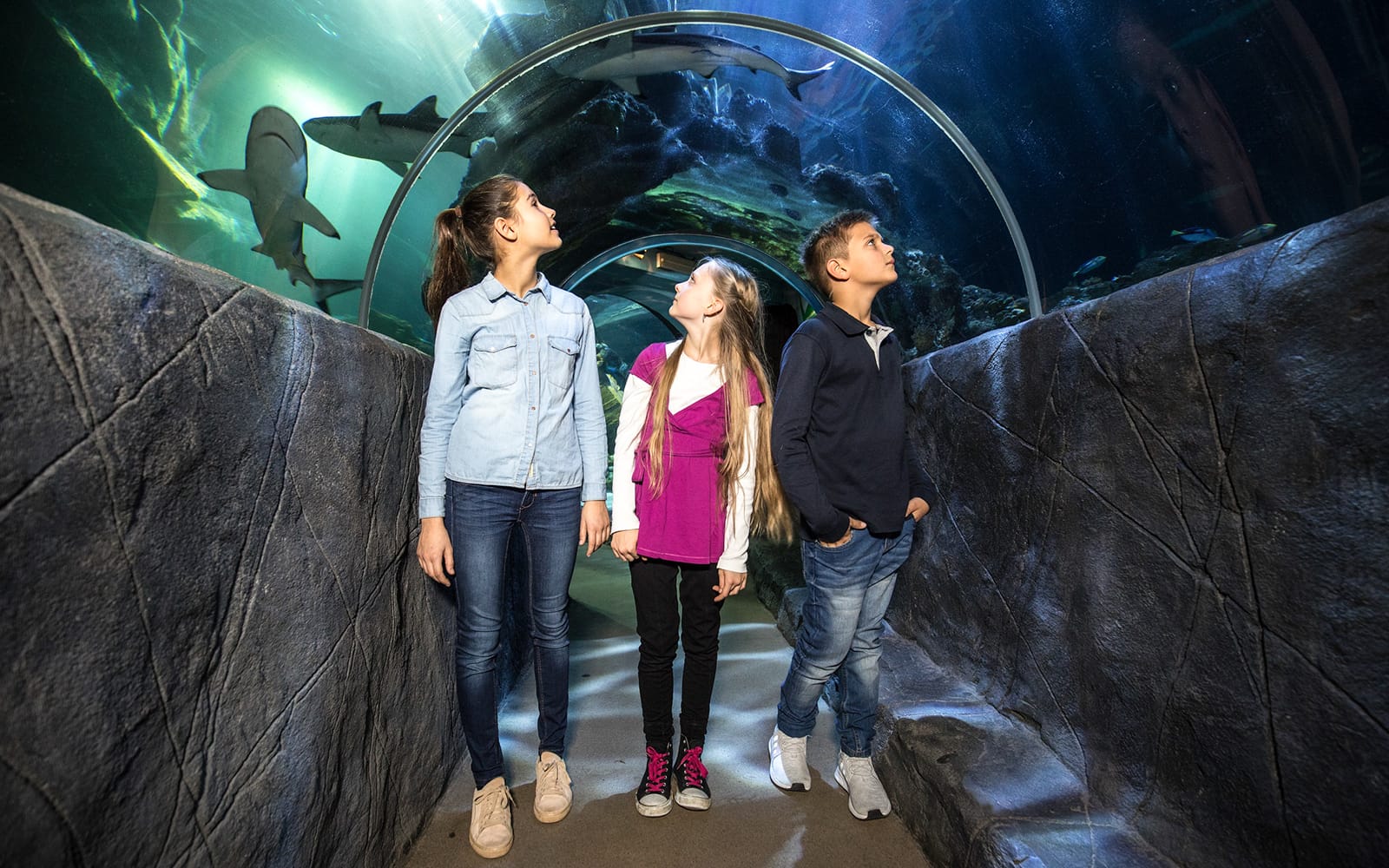 SEA LIFE Munich Ticket experience in Munich | TickYourList