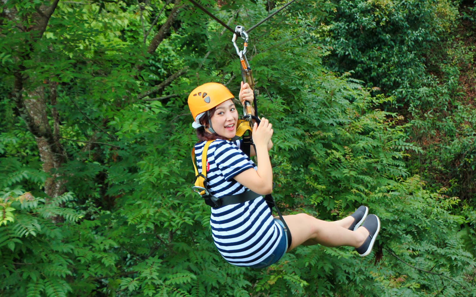 Jungle Flight Zipline Adventure