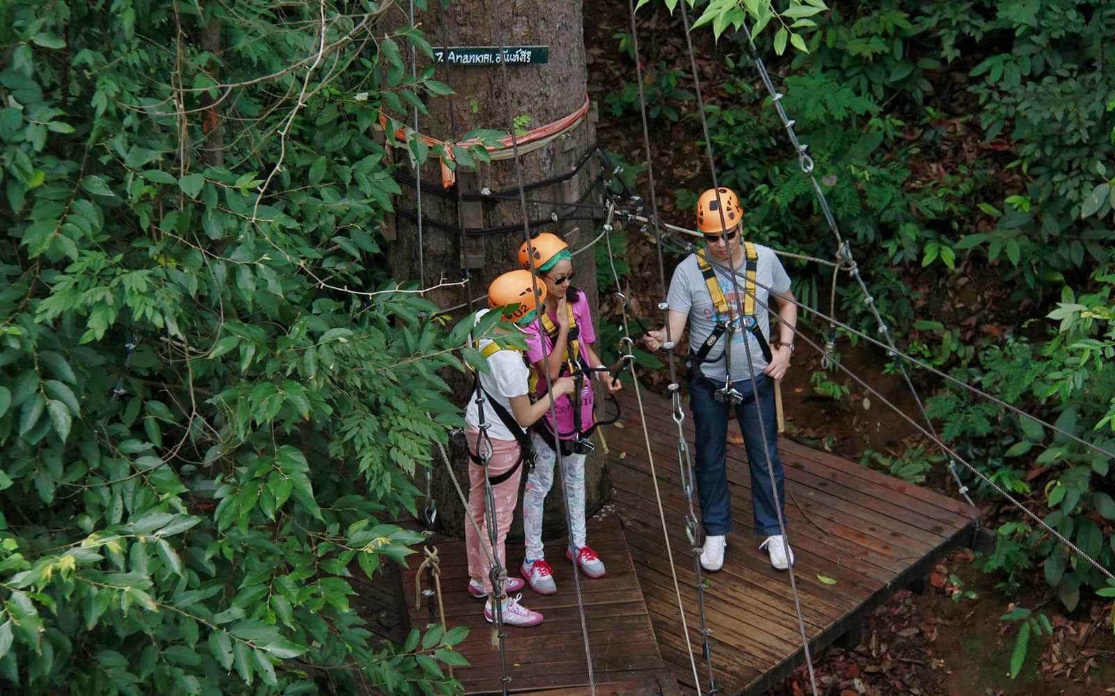 Jungle Flight Zipline Adventure tickets in Chiang Mai - Attractions | TickYourList