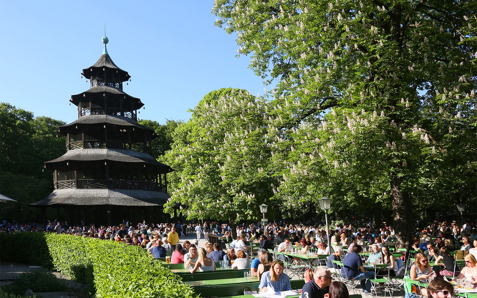 Munich Guided Bike & English Gardens Tour