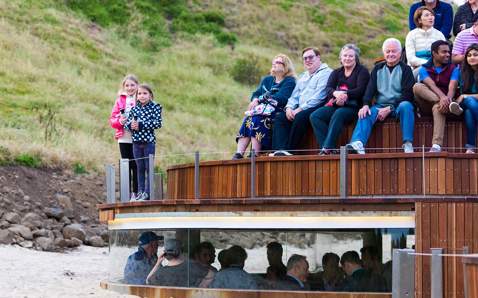 Phillip Island Nature Parks Penguin Parade Tickets in Melbourne - Activities | TickYourList