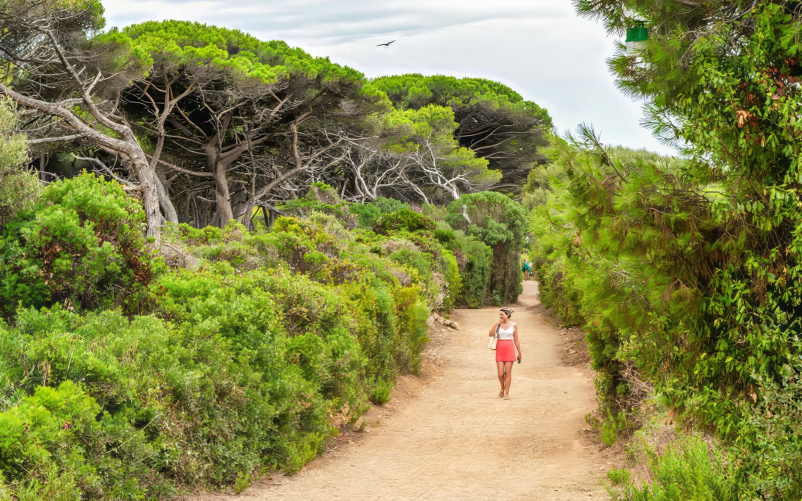 From Cannes: Round-Trip Ferry to Sainte-Marguerite, Lérins Islands tickets in Nice - Features | TickYourList