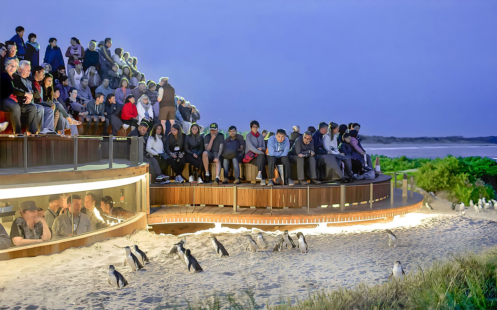 Phillip Island 3 Parks Pass: Penguin Parade, Koala Conservation Reserve & Churchill Island tickets in Melbourne - Attractions | TickYourList
