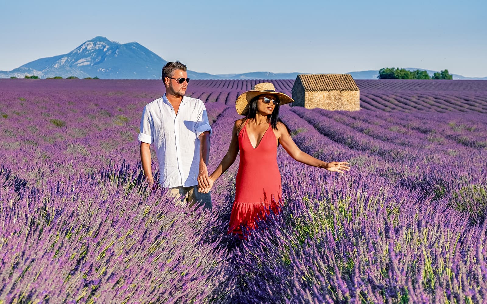 From Nice: Provence’s Lavender & Verdon Gorges Day Tour tickets in Nice - Features | TickYourList