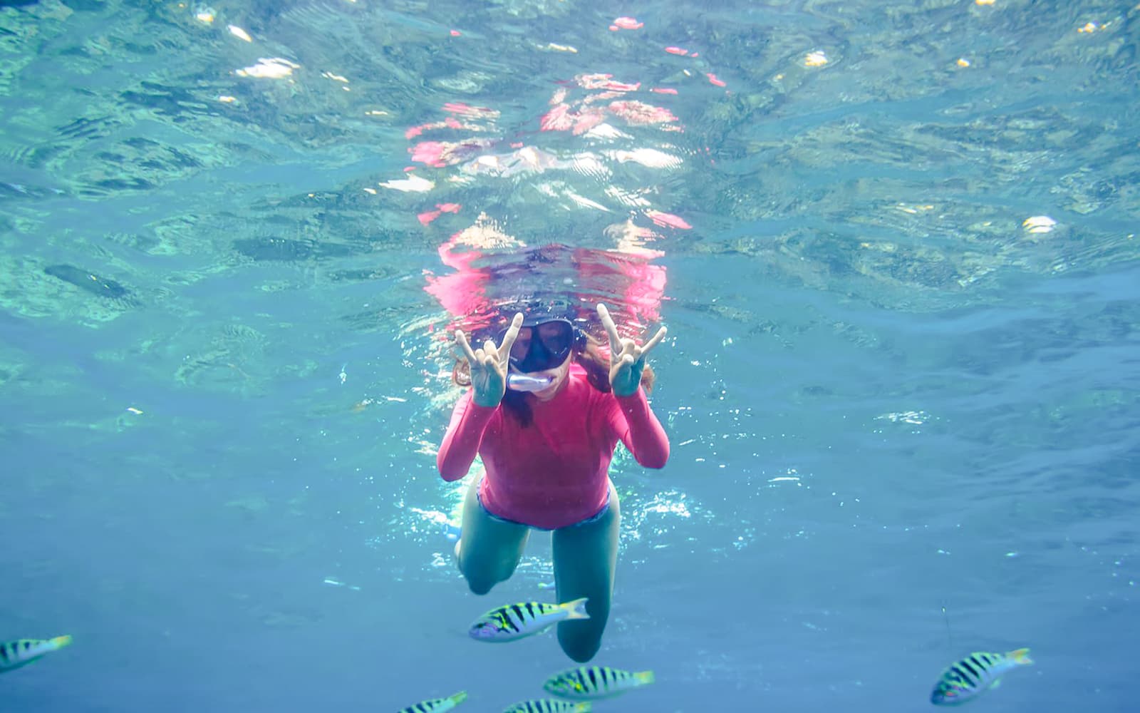 From Nice: Underwater Sea Scooter Snorkelling Tour tickets in Nice - Attractions | TickYourList