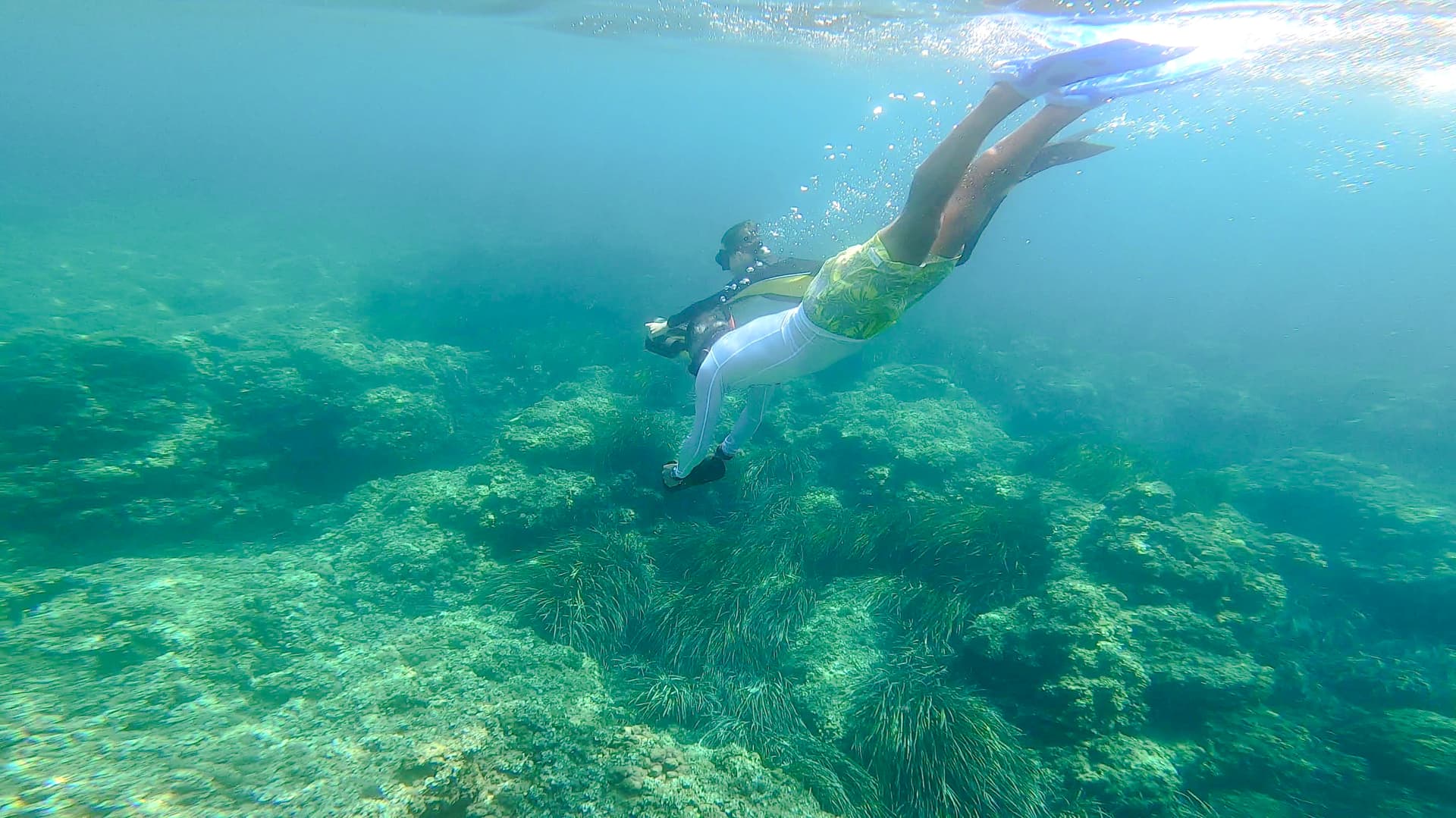 From Nice: Underwater Sea Scooter Snorkelling Tour tickets in Nice - Activities | TickYourList
