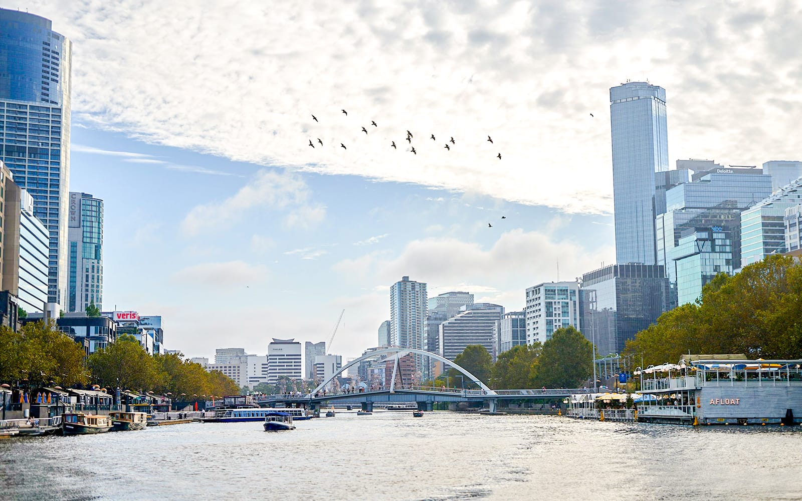 1-Hour Yarra River Sightseeing Cruise tickets in Melbourne - Activities | TickYourList