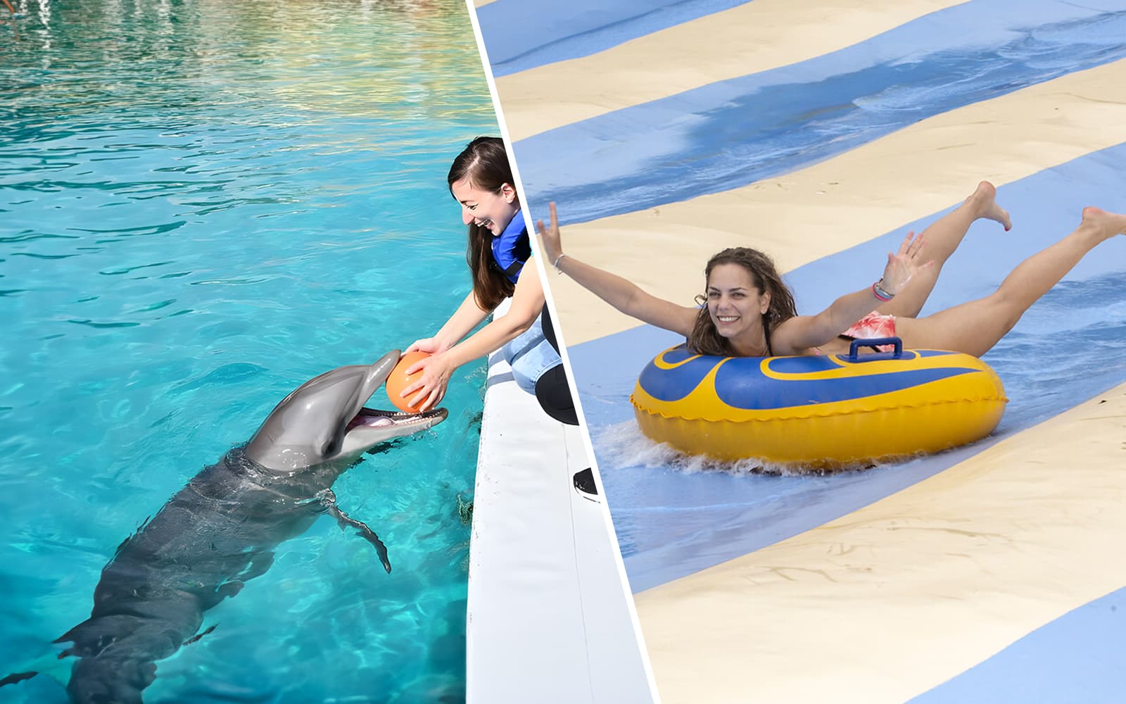 Combo: Marineland Antibes + Aquasplash Tickets