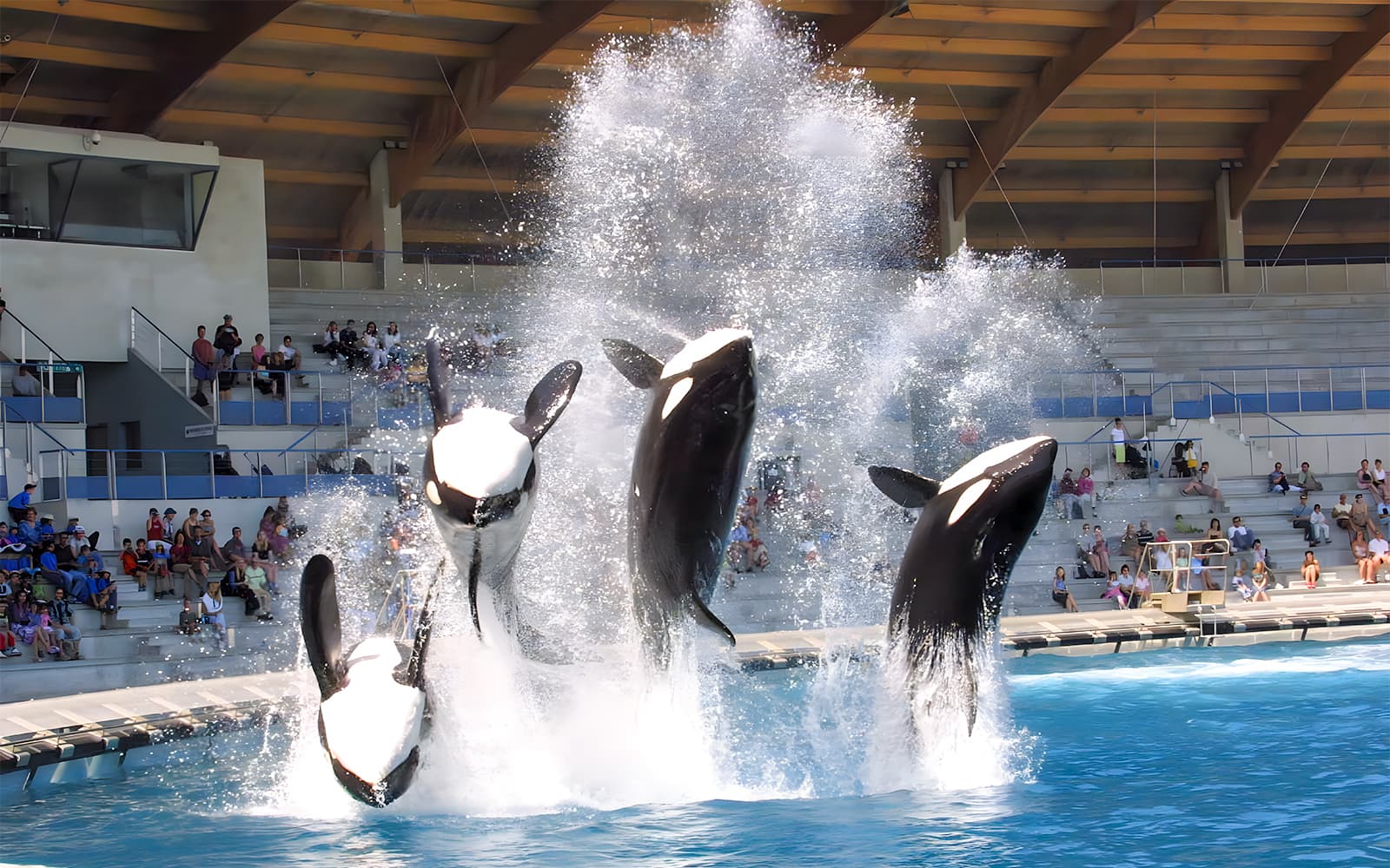Combo: Marineland Antibes + Aquasplash Tickets in Nice - Activities | TickYourList