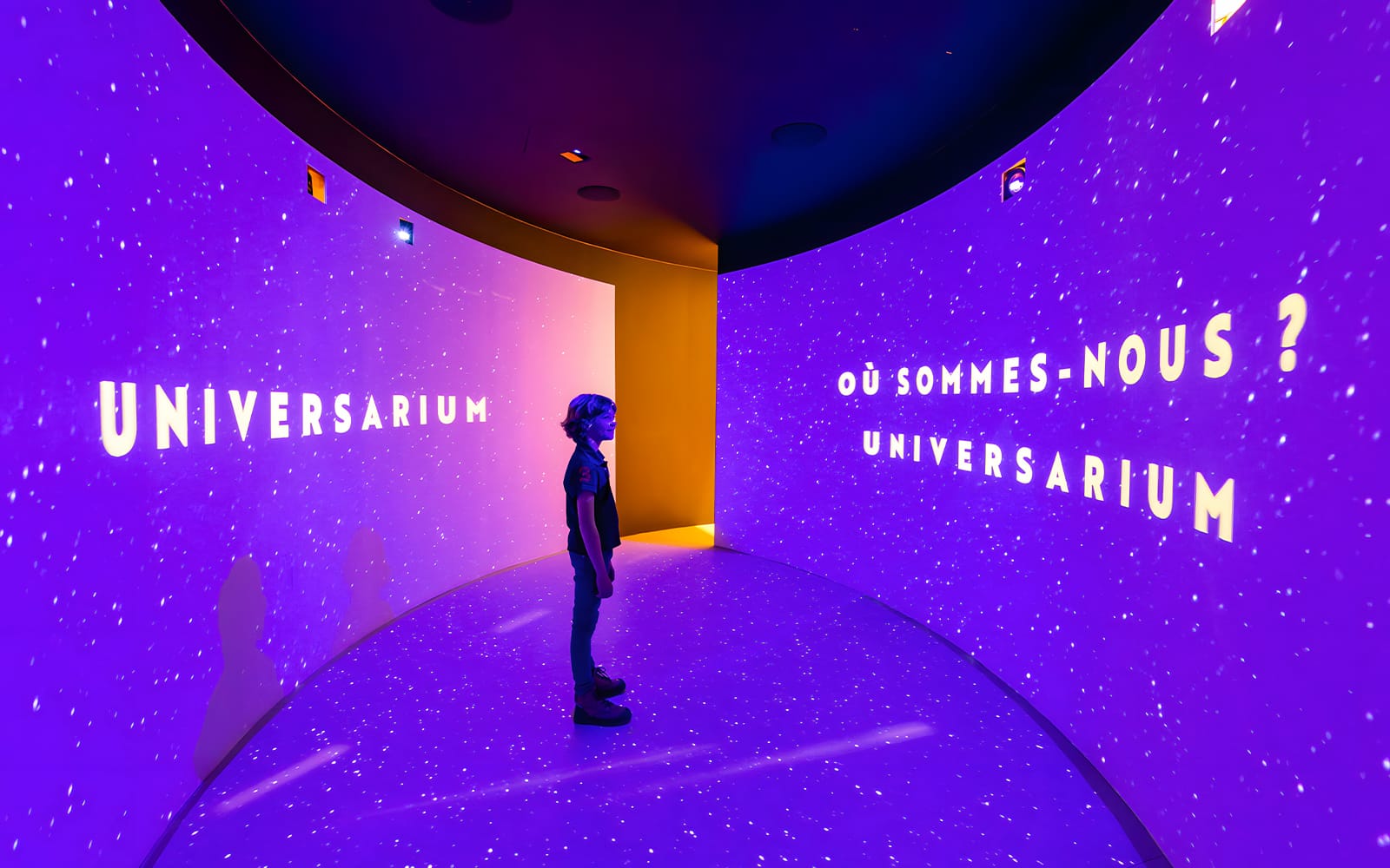 French Riviera Pass: 50+ Attractions tickets in Nice - Highlights | TickYourList