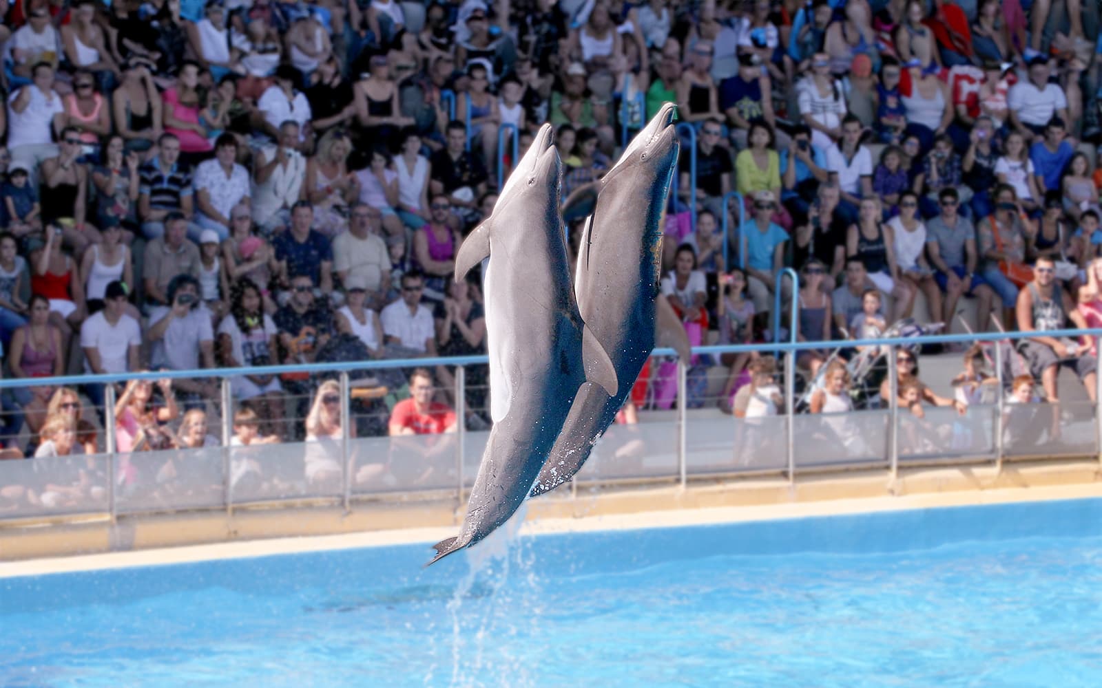 Marineland Antibes Tickets