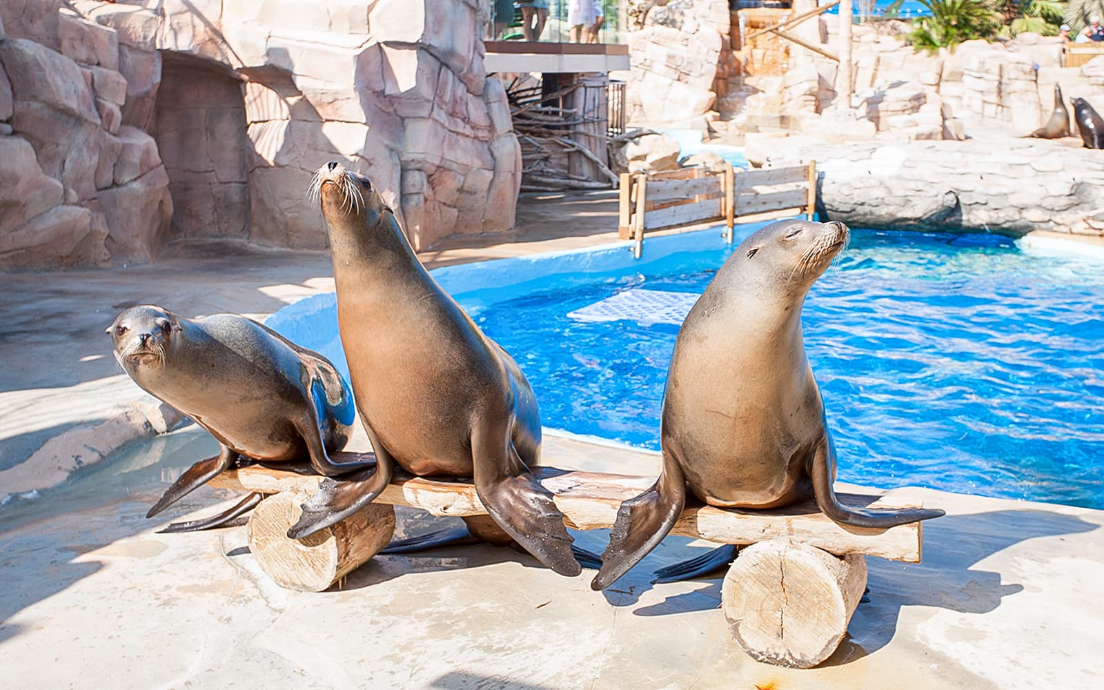 Marineland Antibes Tickets in Nice - Features | TickYourList