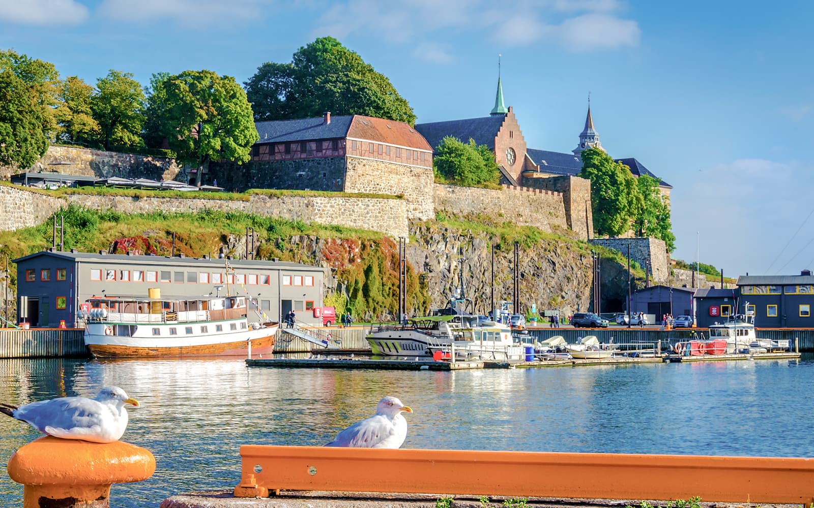Oslo: Scenic Fjord Cruises tickets in Oslo - Attractions | TickYourList