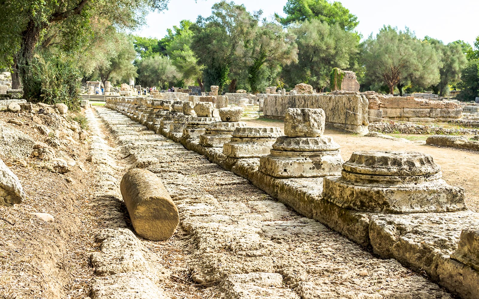 Ancient Olympia Archaeological Site & Museum Tickets with Audio Guide in Peloponnese - Features | TickYourList