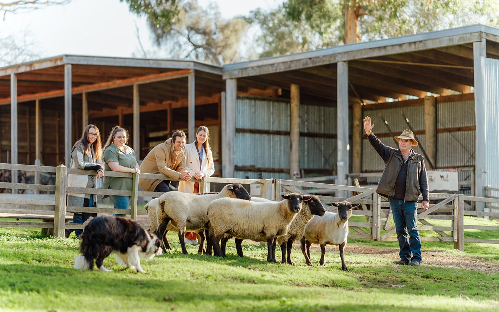 Churchill Island Tickets & Optional Entry to Phillip Island Nature Parks in Melbourne - Attractions | TickYourList