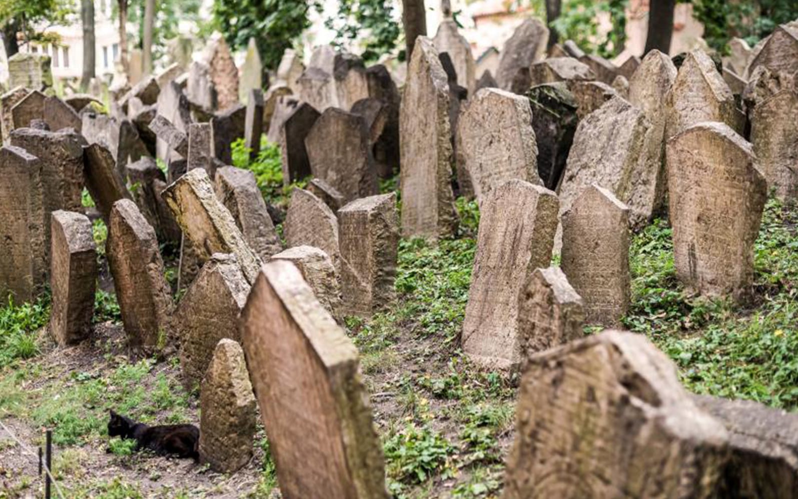 Prague Jewish Quarter 2.5-Hour Tour Including Admission Tickets in Prague - Attractions | TickYourList