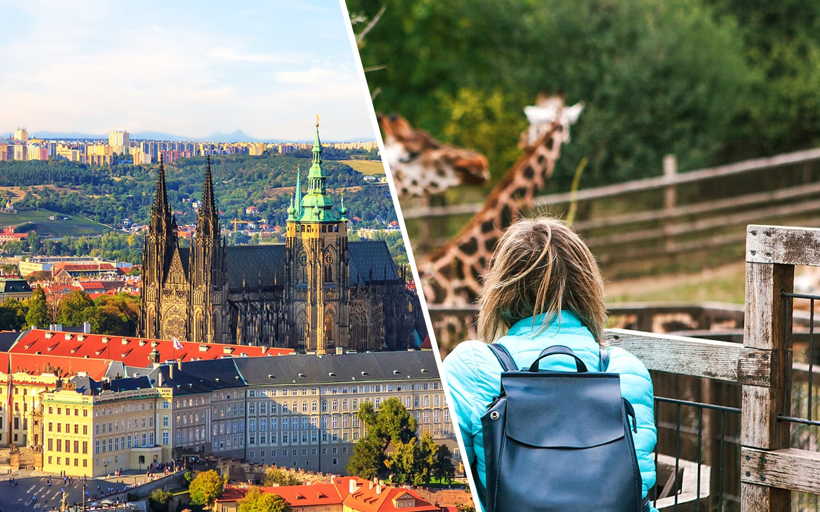 Combo (Save 5%): Prague Castle Skip-the-line-Tickets + Prague Zoo Tickets
