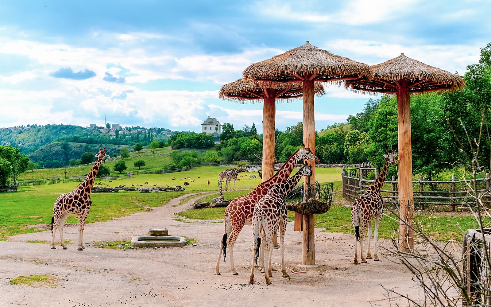 Combo (Save 5%): Prague Castle Skip-the-line-Tickets + Prague Zoo Tickets in Prague - Features | TickYourList