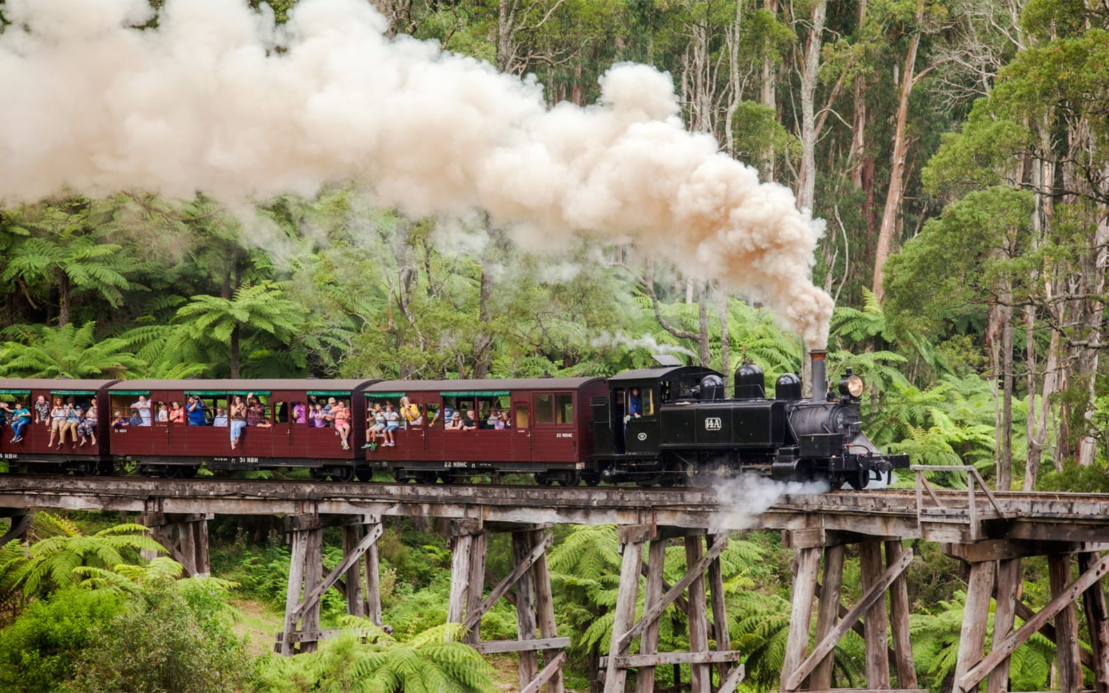 From Melbourne: Puffing Billy Train Ride & Phillip Island Guided Tour experience tickets in Melbourne | TickYourList