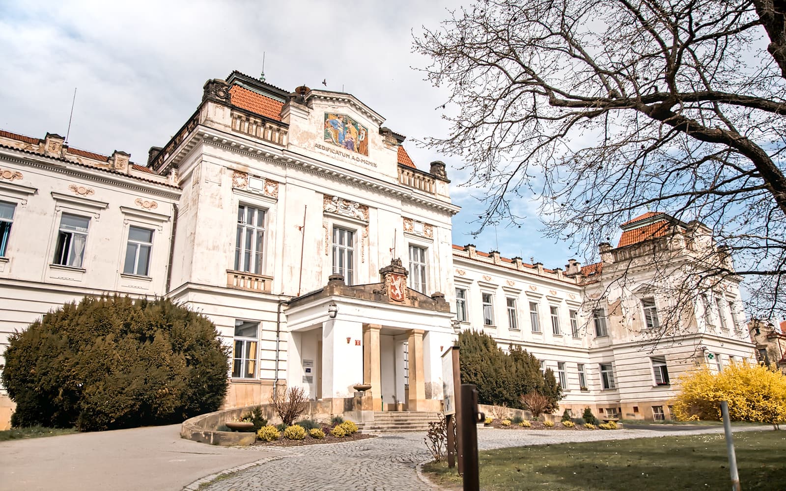Guided Tour of Bohnice Psychiatric Hospital and Abandoned Cemetery in Prague tickets in Prague - Attractions | TickYourList