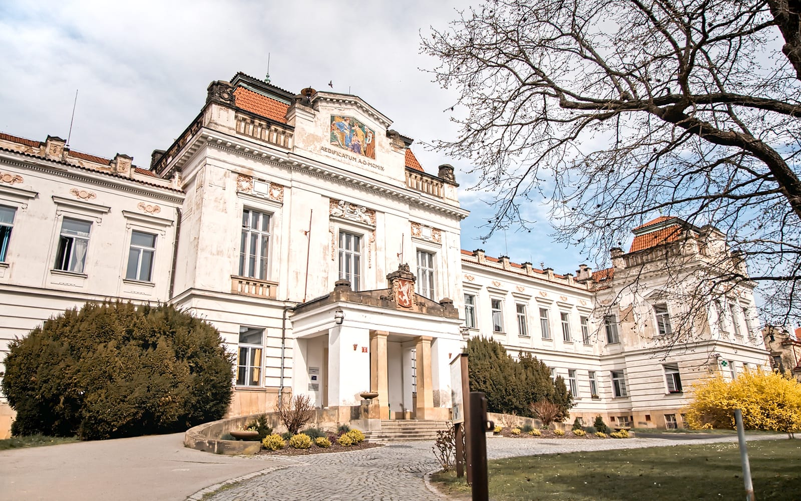 Guided Tour of Bohnice Psychiatric Hospital and Abandoned Cemetery in Prague tickets in Prague - Attractions | TickYourList