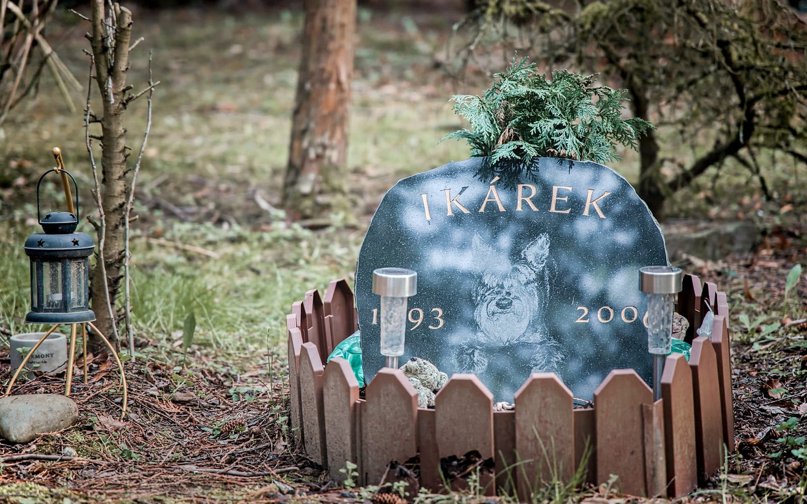 Guided Tour of Bohnice Psychiatric Hospital and Abandoned Cemetery in Prague tickets in Prague - Features | TickYourList