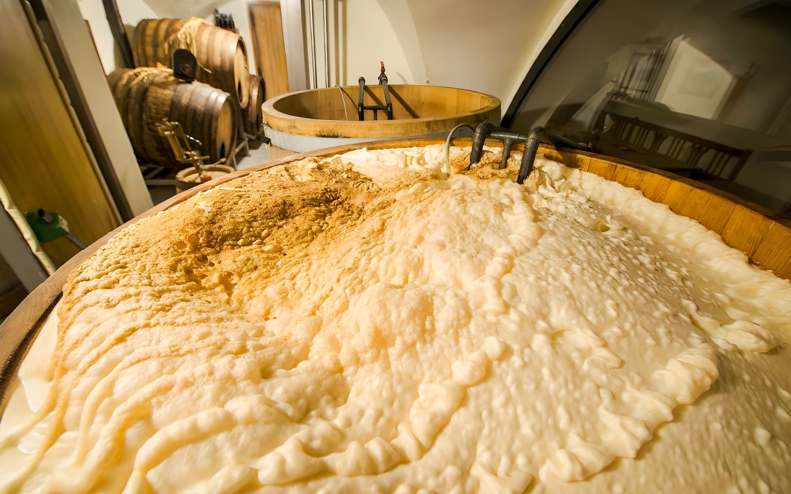 Prague: Beer Tasting and Optional Brewery Tour tickets in Prague - Attractions | TickYourList