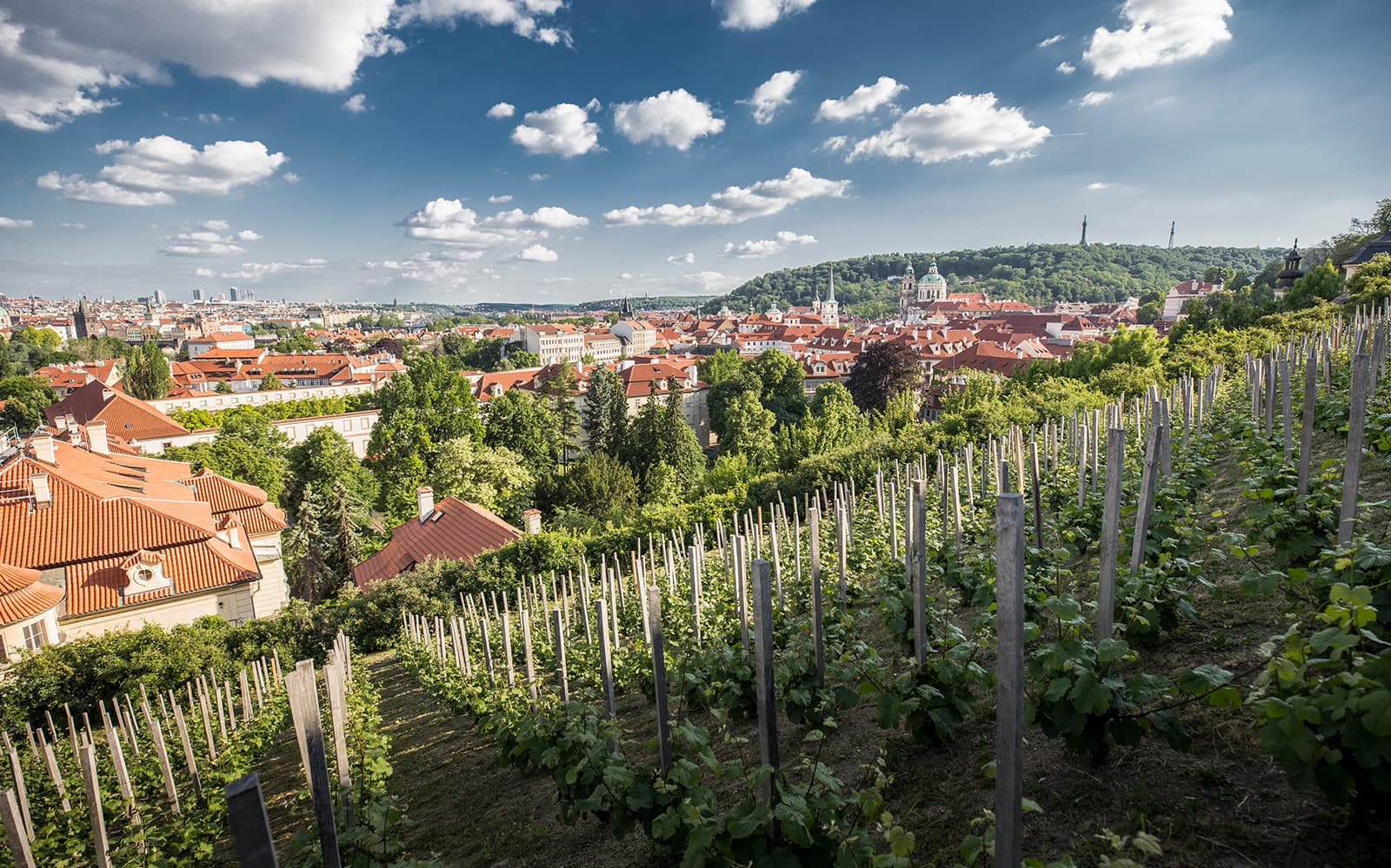 Prague Castle Complex Tour & Canal River Cruise tickets in Prague - Attractions | TickYourList