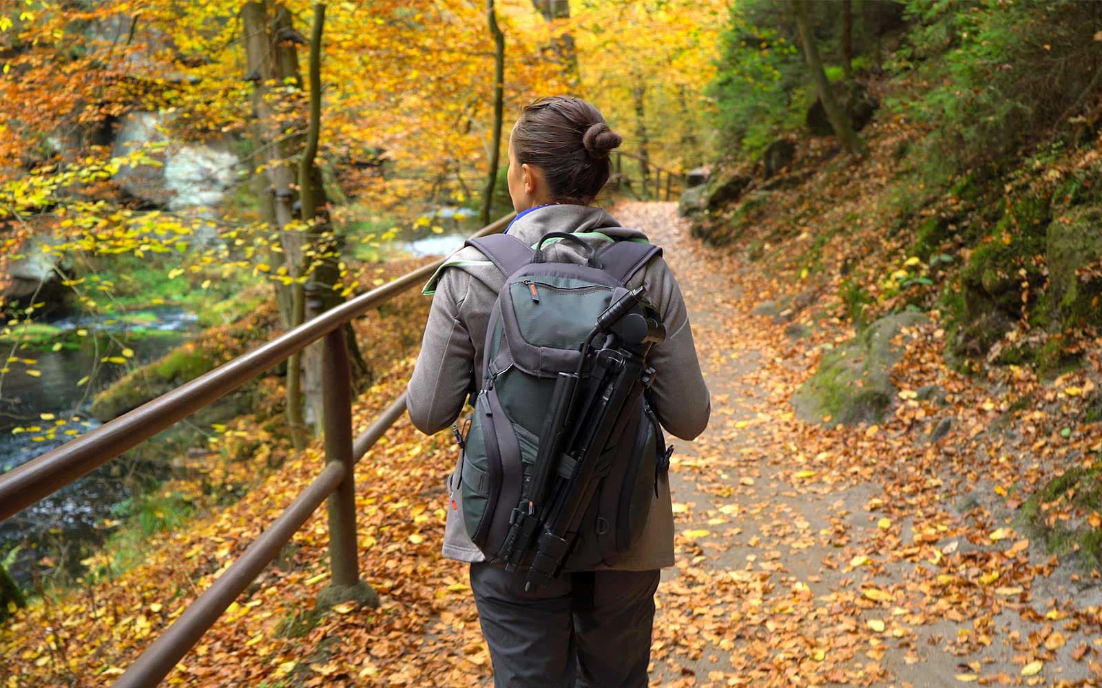 Guided Tour of Bohemian Switzerland National Park tickets in Prague - Attractions | TickYourList