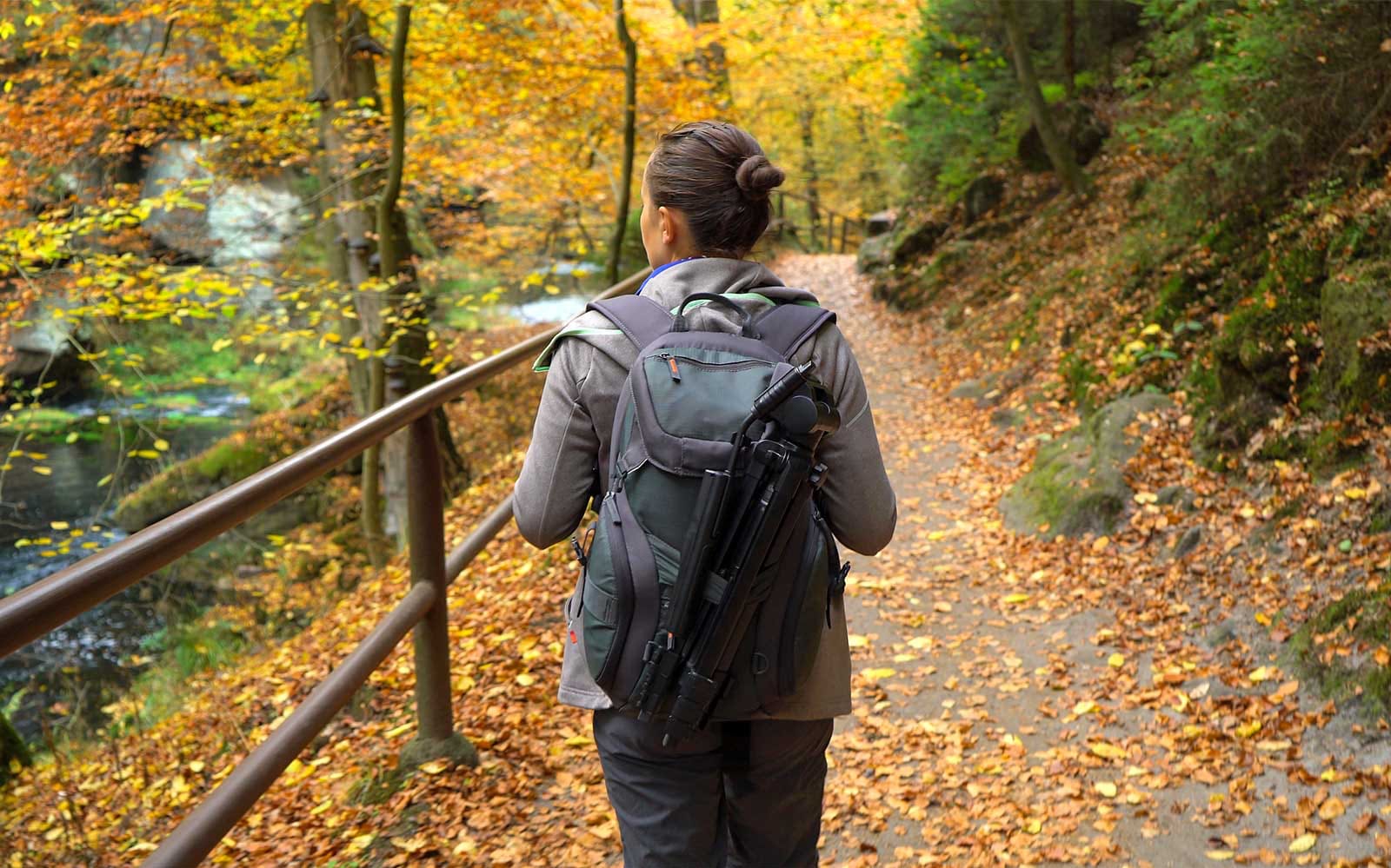 Guided Tour of Bohemian Switzerland National Park tickets in Prague - Attractions | TickYourList