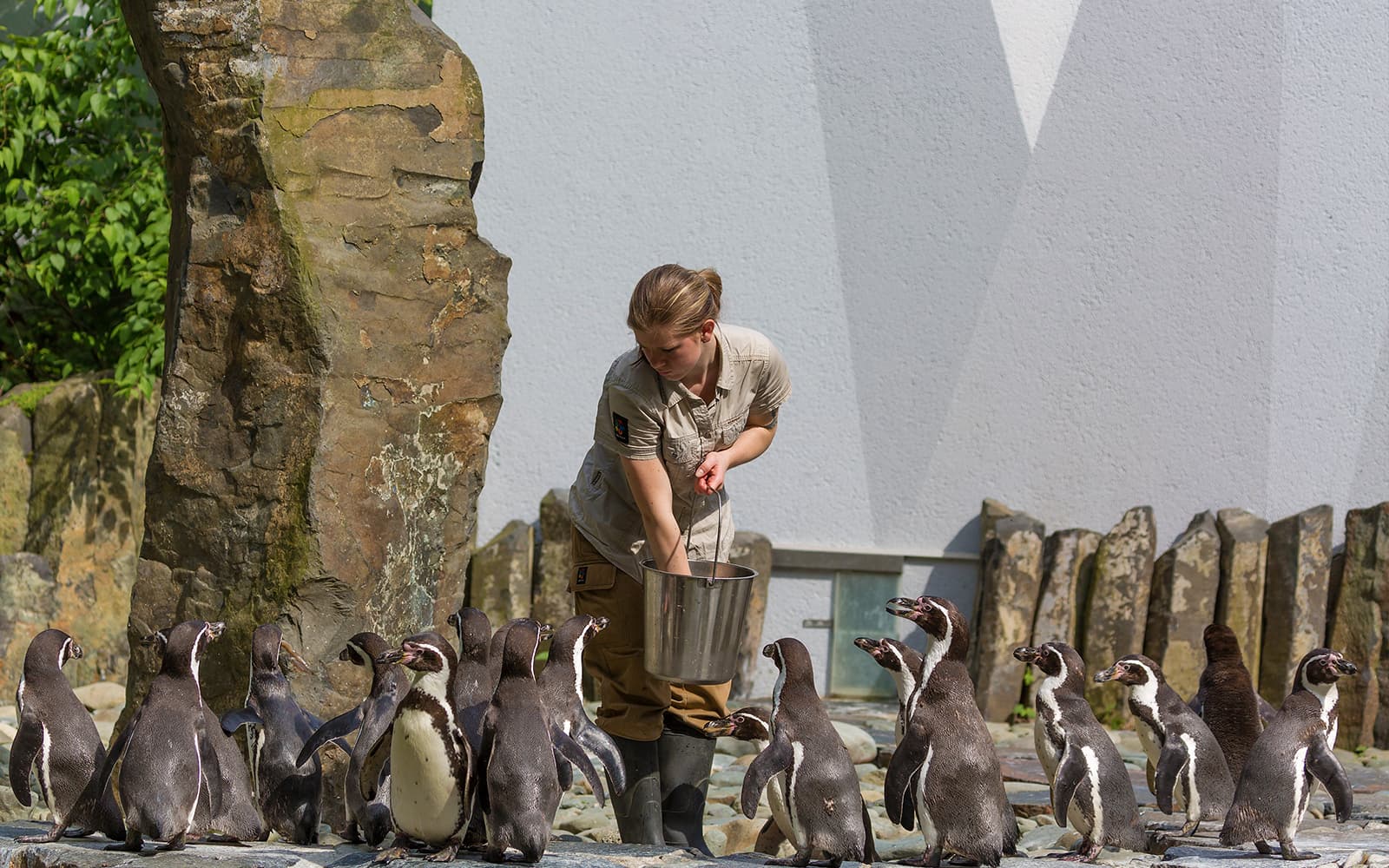 River Cruise to the Prague Zoo & Entrance Ticket in Prague - Highlights | TickYourList