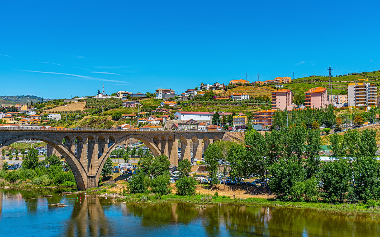 Historic Douro Valley Guided Tour with 1-Hour Pinhão Cruise, Traditional Lunch & Wine Tastings