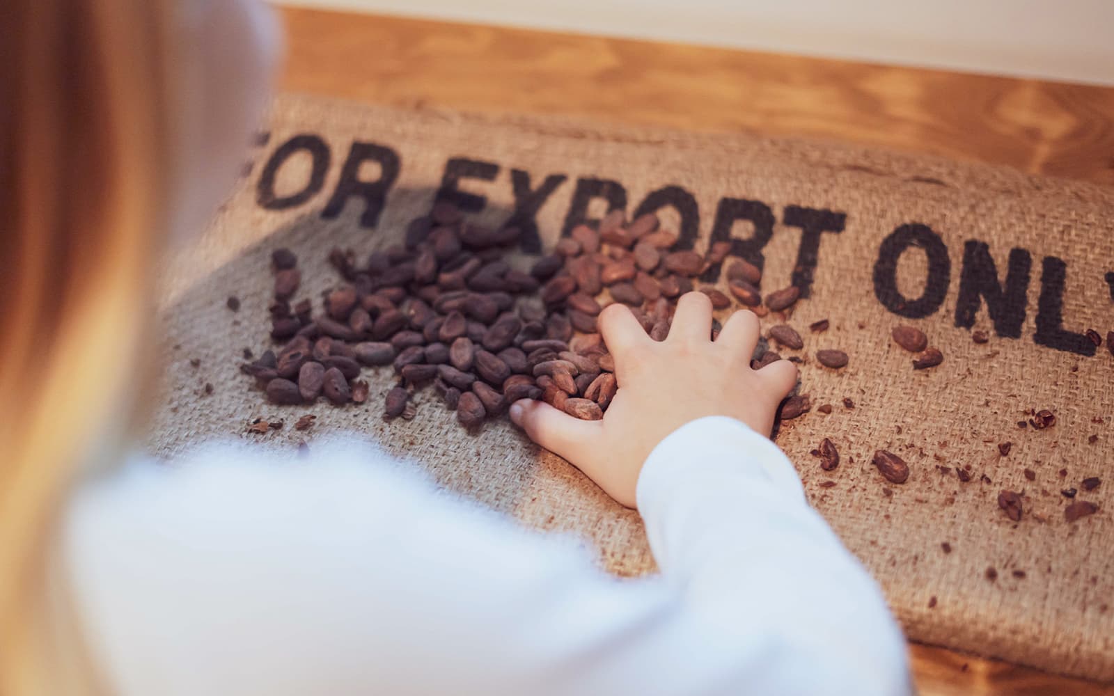 The Chocolate Story Museum Tickets with Free Samples in Porto - Activities | TickYourList
