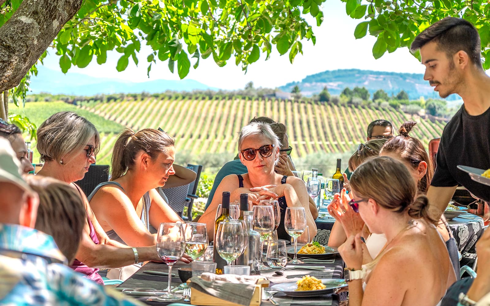 Private Douro Valley Guided Tour with 1-Hour Pinhão Cruise, Traditional Lunch & Wine Tastings